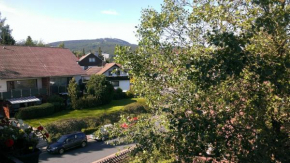 Отель Wurmberg Hexe mit Blick auf den Wurmberg, Браунлаге
